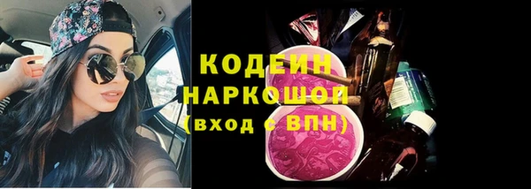 ГАЛЛЮЦИНОГЕННЫЕ ГРИБЫ Рославль