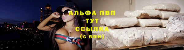 ГАЛЛЮЦИНОГЕННЫЕ ГРИБЫ Рославль