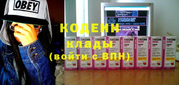ГАЛЛЮЦИНОГЕННЫЕ ГРИБЫ Рославль