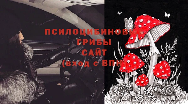 ГАЛЛЮЦИНОГЕННЫЕ ГРИБЫ Ростов