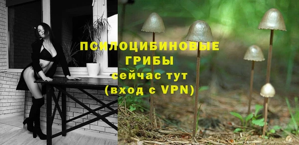 ГАЛЛЮЦИНОГЕННЫЕ ГРИБЫ Рославль