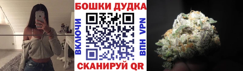 Бошки марихуана Amnesia  Зея 